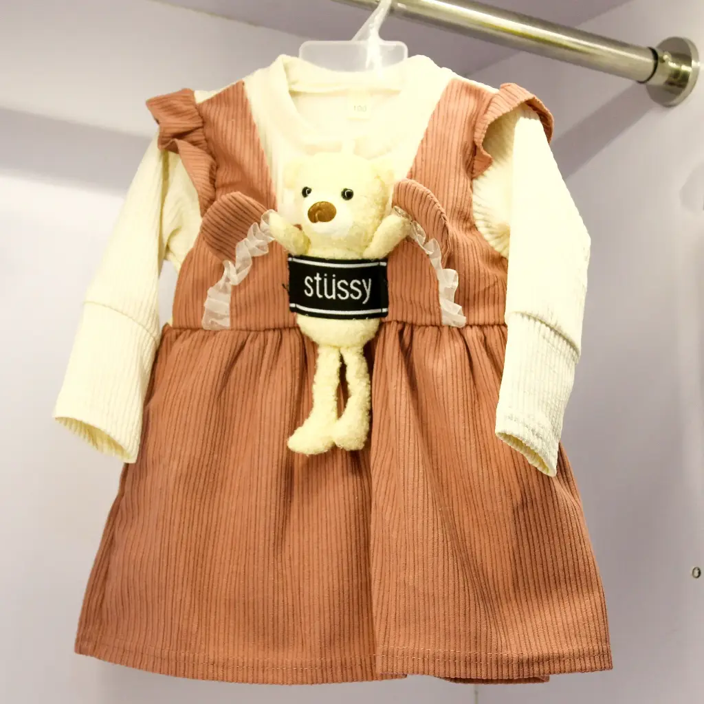 Girls Pink & Beige Designer Teddy Dress